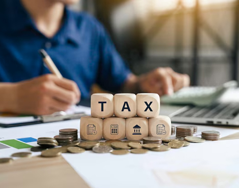 Tree Plantation & Maintenance