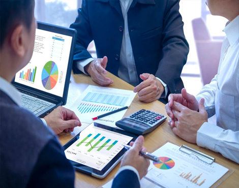 Tree Plantation & Maintenance